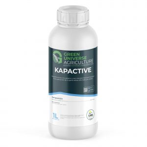 Kapactive