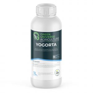 Yogorta